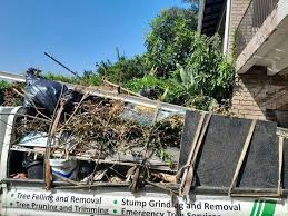 Best Moving and Downsizing Cleanouts  in Fountain, CO