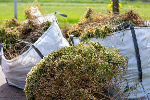 Best Hoarding Cleanup  in Fountain, CO